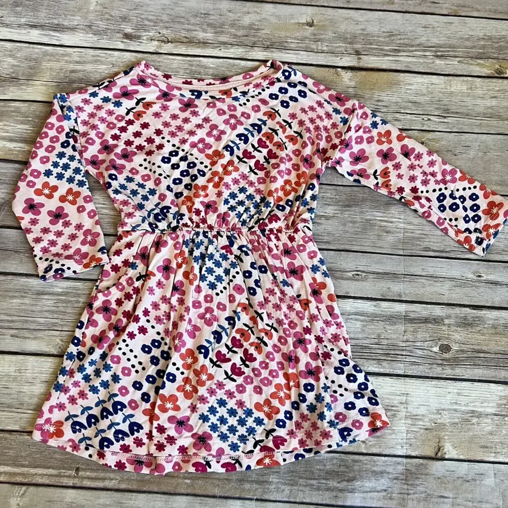 Gymboree Floral Dress & Bloomers